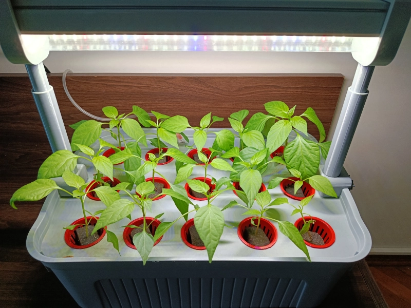 15 Gözlü XXL Hidrobox Aydınlatma Eki (Sadece Aydınlatma Sistemi) - Görsel 2